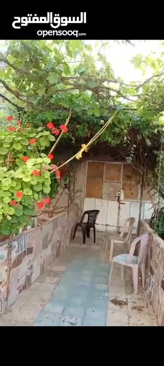 بيت ومنازل للبيع