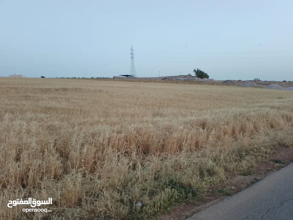 مادبا ماعين المشرفة قطعة ارض زراعية مميزة واصل الخدمات ذات اطلالة على البحر الميت واصل الخدمات