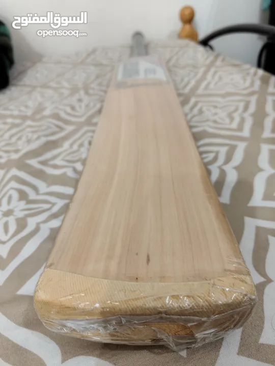 Hunter Scorpion Premium Edition Cricket Bat