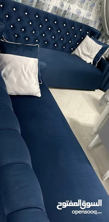2 fancy dark blue sofas