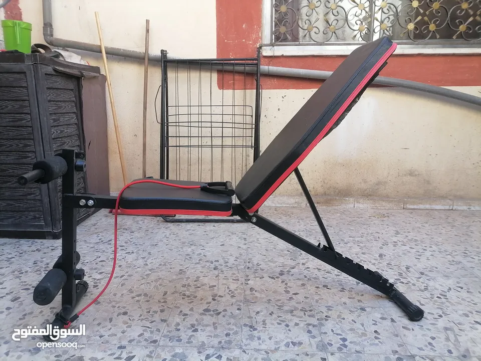بنش رياضي جميع الزوايا بنش بنش بنش بنش بنش بنش