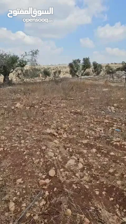 فرصة استثمارية لا تعوض . ارض مميزة للبيع في بيت قاد