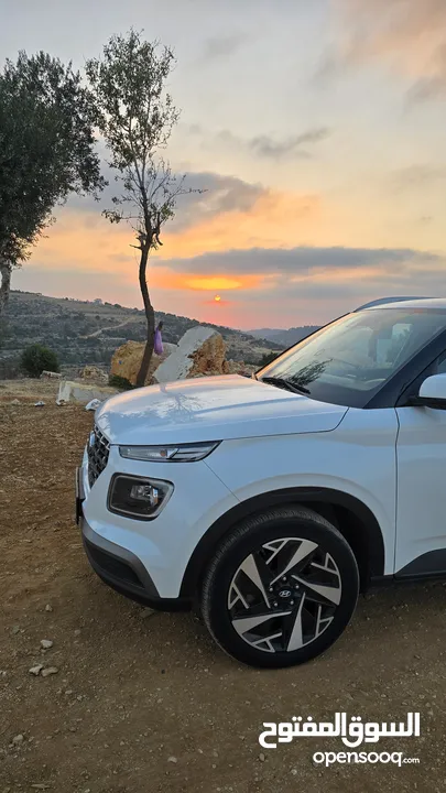 فينو 2020 الجيب نضيف دهان شركة