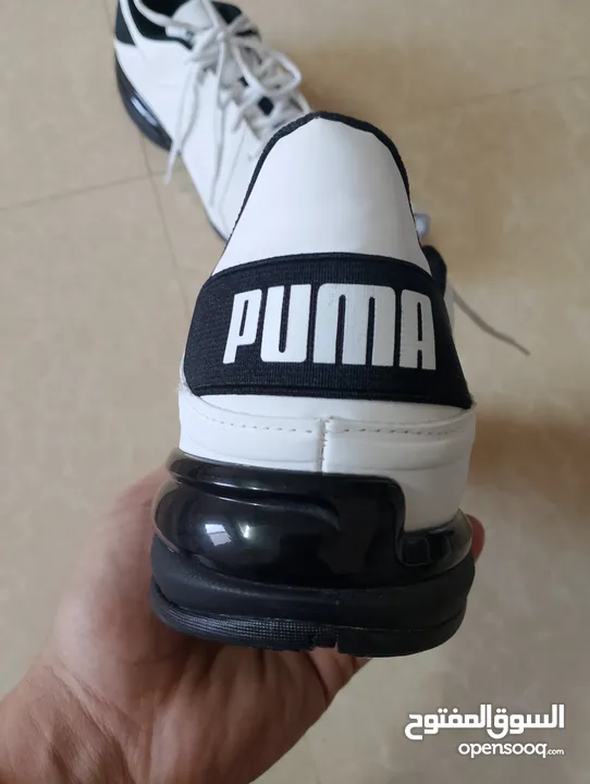 حذاء .Puma  اصلي بحال الوكاله لساته جديد وارد أروبي  الواحد ب 35