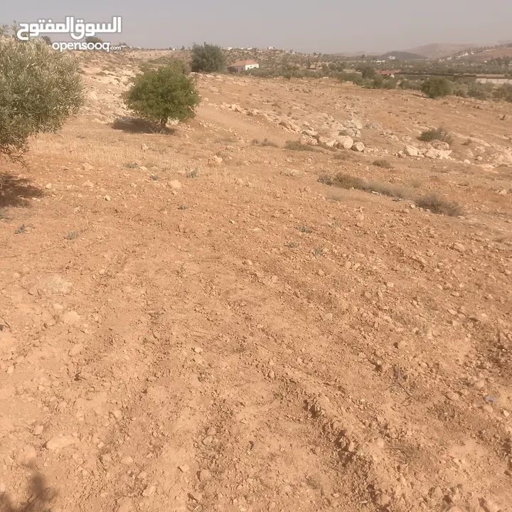 قطعة ارض شرق جرش مرويه من بئر ارتوازي مطله ومرتفعه بسعر مغري متوفر أكثر من 50 قطعه في نفس المنطقه