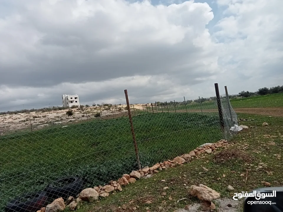 ارض سكنيه قرب مثلث حور فوعرا للبيع بسعر مغري
