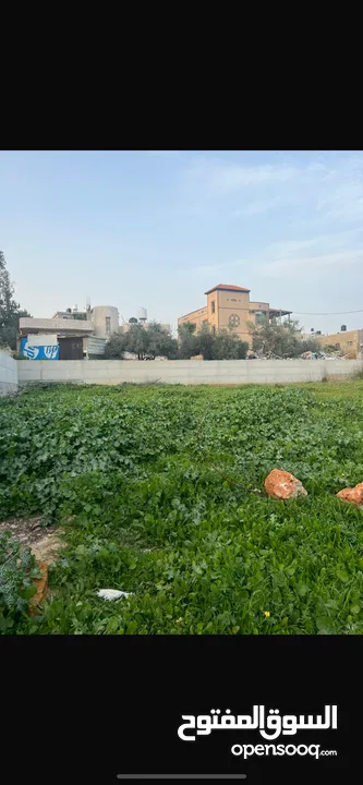 ارض للبيع بسعر ممتاز