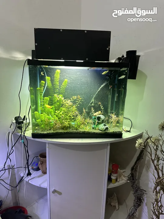 Big Aquarium for sell