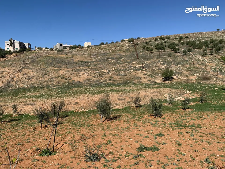 منزل ومزرعة للبيع في منطقة المريجمة-مادبا