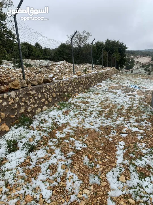 فرصة استثمارية! أرض زراعية مميزة بسعر مغري و بالقرب من أحراش الدولة للمزيد من المعلومات اقرأ الوصف