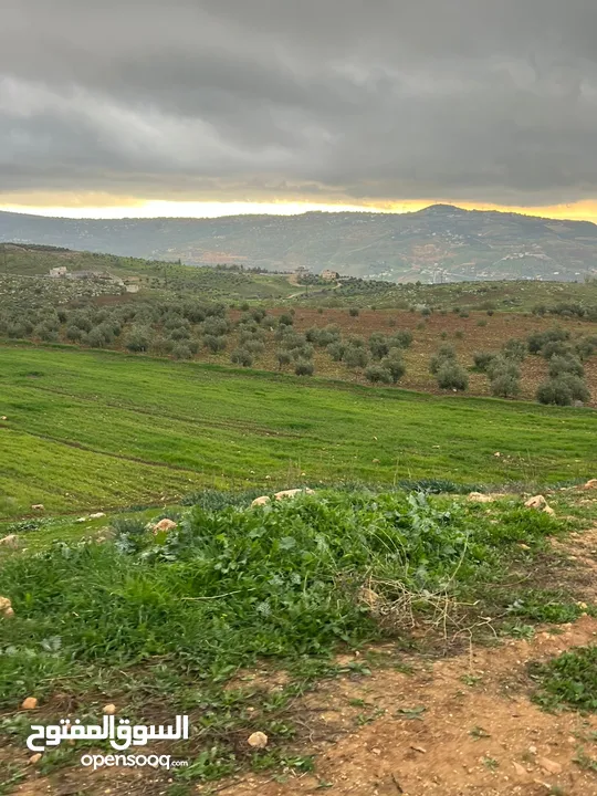 للبيع منبسطه واصل الخدمات اطلاله رائعة منطقة مزارع وشاليهات فخمه.