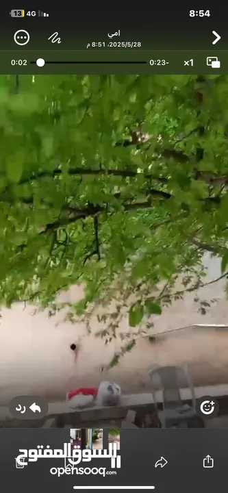 شقه للبيع في ابو نصير