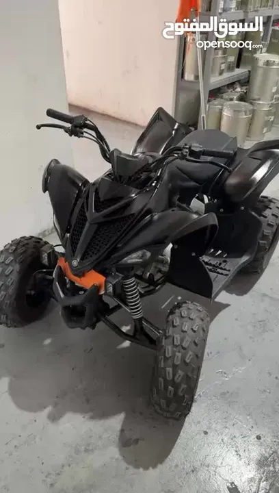 Raptor 110cc (painted matte black) and with sc project exhaust