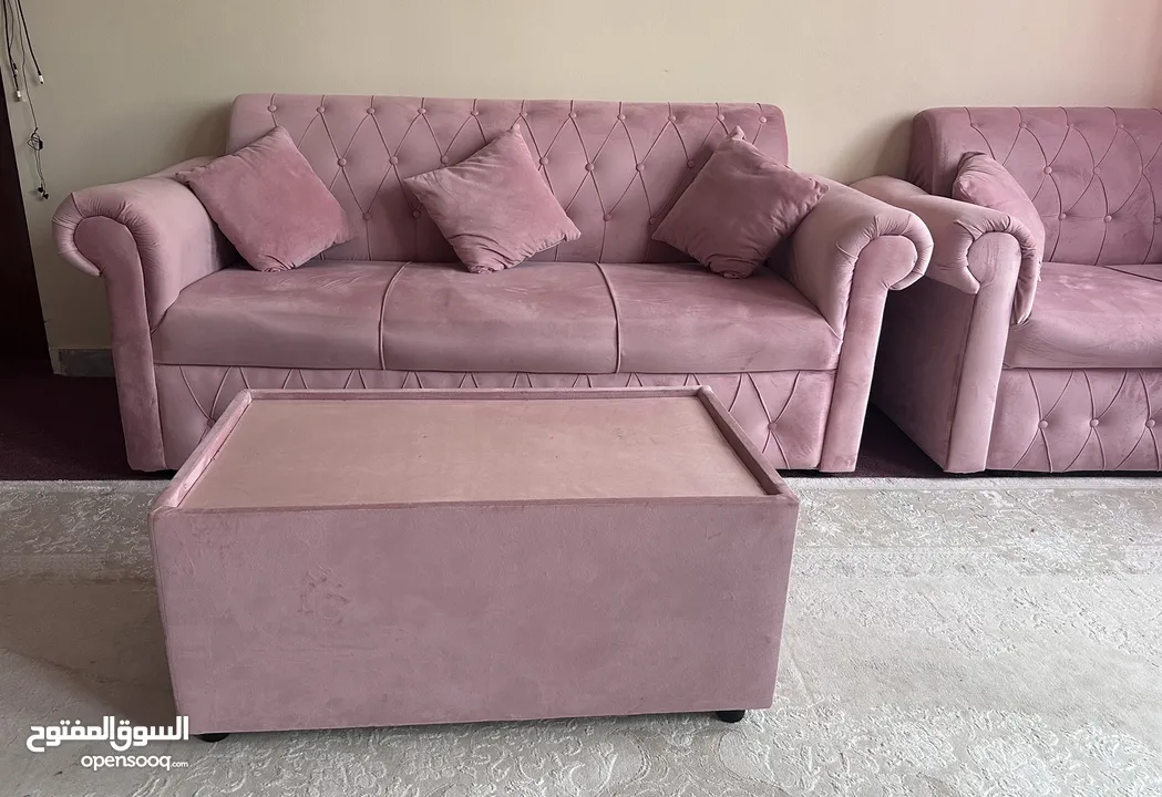 A set of two couches