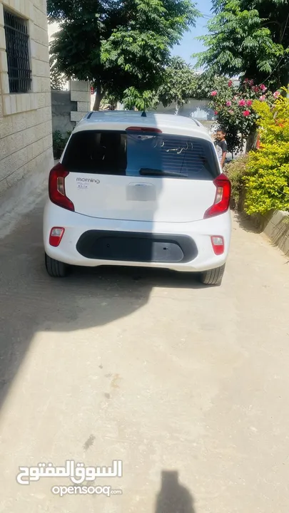 Kia morning 2020