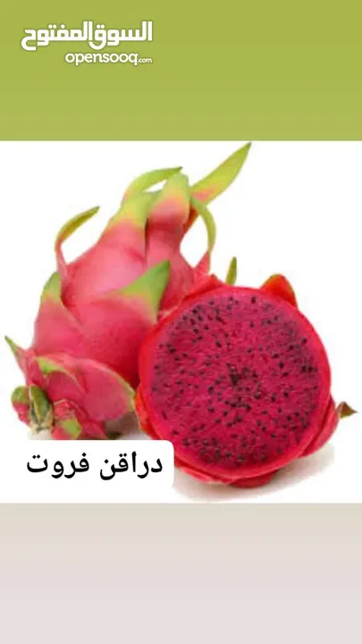 أشجار زينه أشجار مثمرة ورود بجميع الانواع توصيل لباب بيتك