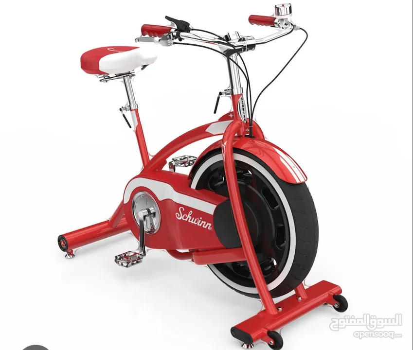 Schwinn Classic Cruiser Indoor Bike