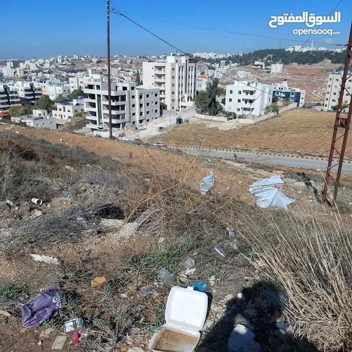 قطعه ارض للبيع مساحه 793 متر مربع  في عمان - ناعور - وادي الكبرا خلف محطه السلام طريق البحر الميت