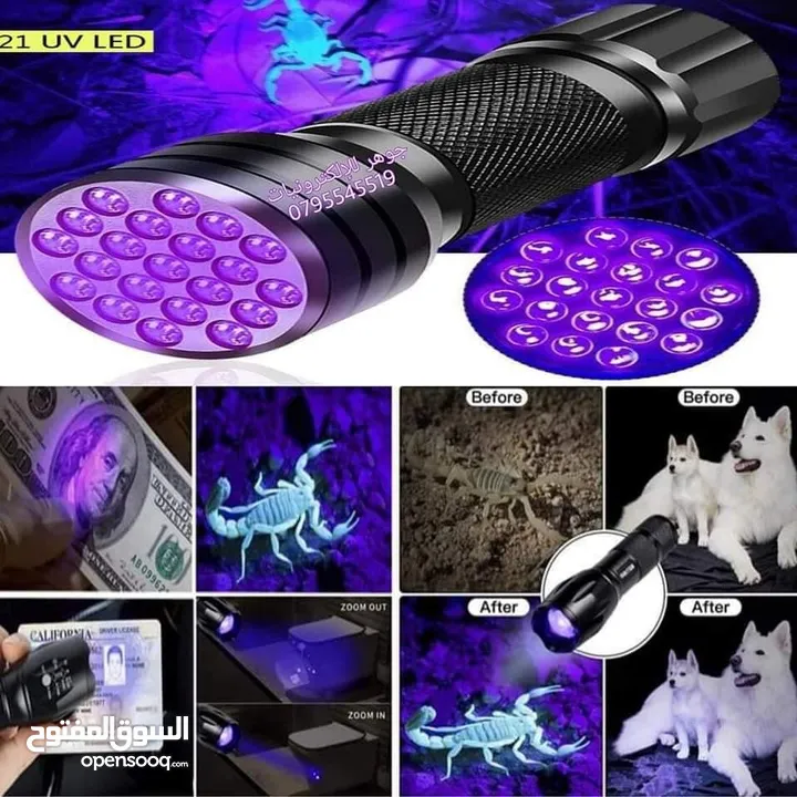 كشاف عقارب / UV / كاشف عملة 51 LED