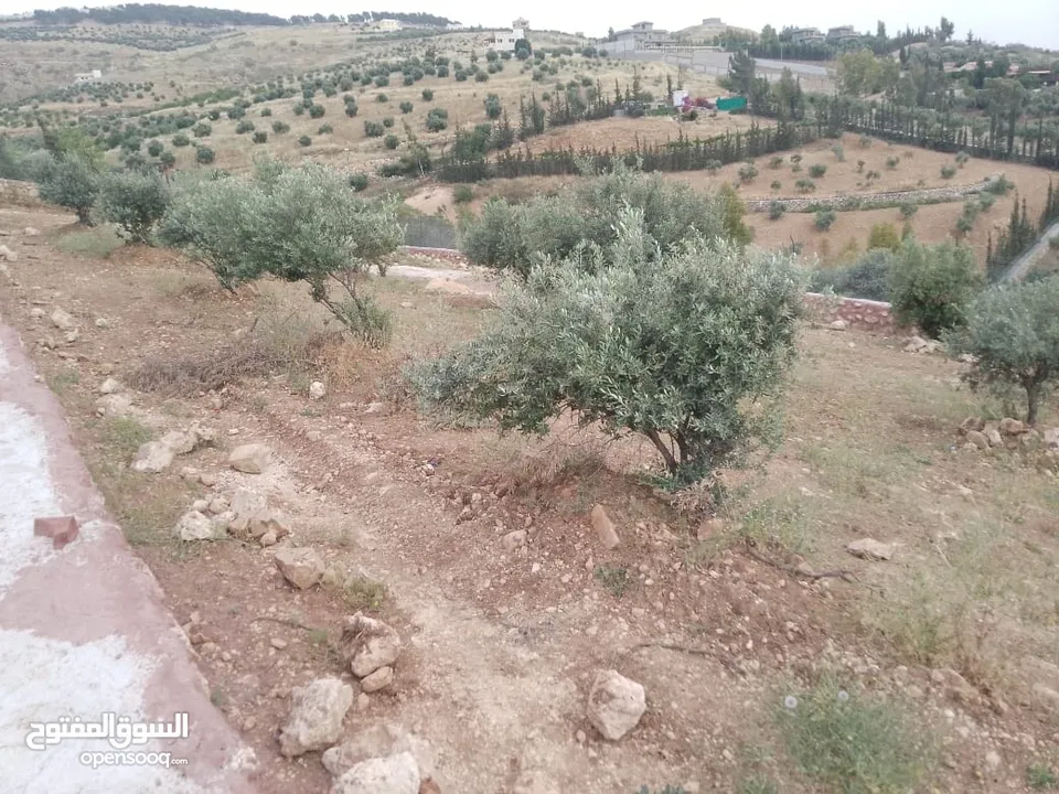 أرض ذات إطلالة خلابة في أجمل مناطق جرش