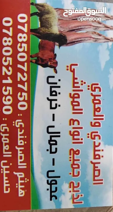 ذبح غنم  وعجول وجمال