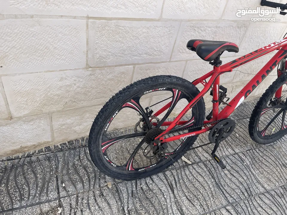 بسكليت صناعه أمريكية