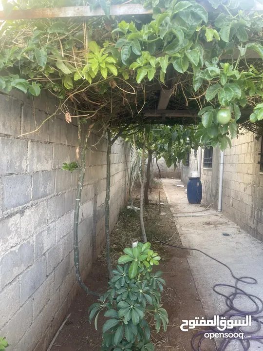 بيت مستقل للبيع ابوعلندا منطقة الرقيم