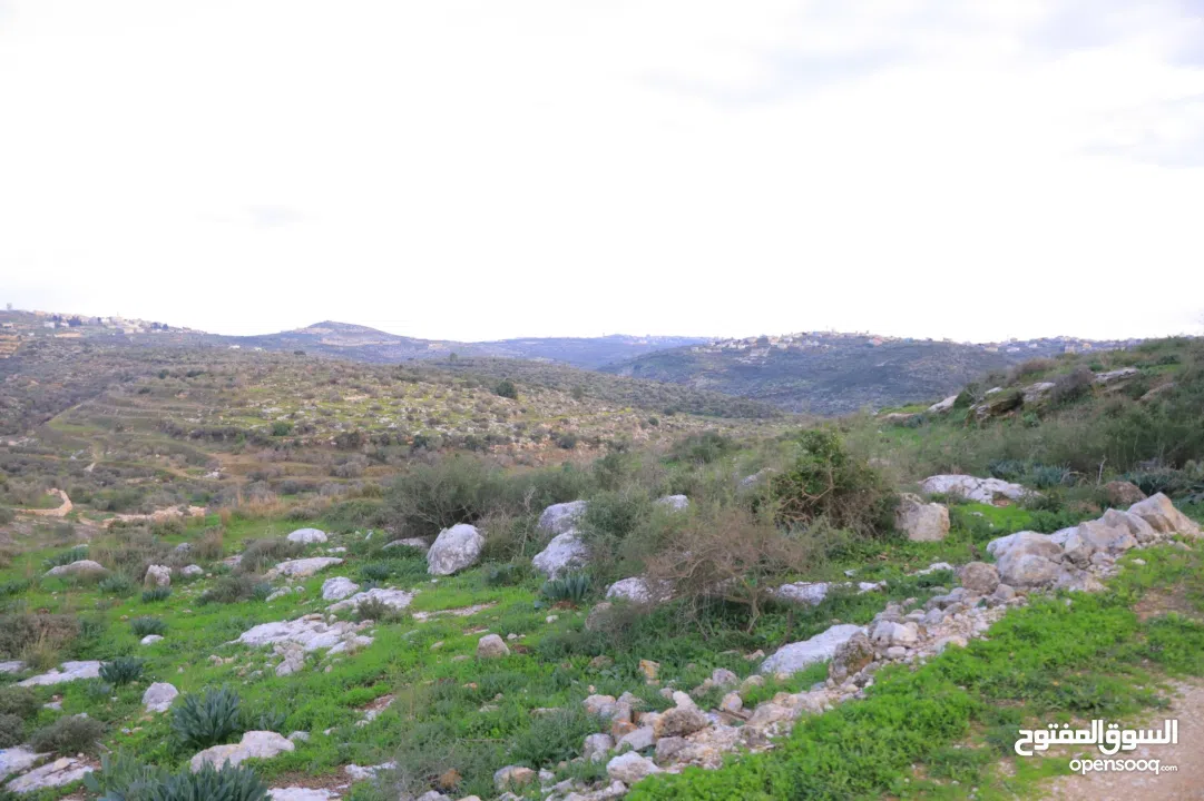 دونم ارض طابوا فلسطيني منطقة (B)بالقرب من دوار كفرصور جميع الخدمات فيها عليها شارع 12متر موقع مميز