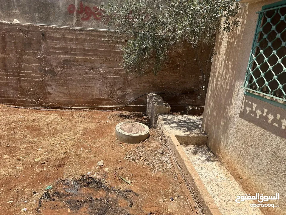 بيت للايجار