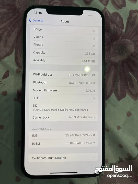 iPhone 12 Pro Max 256GB Unlocked gray