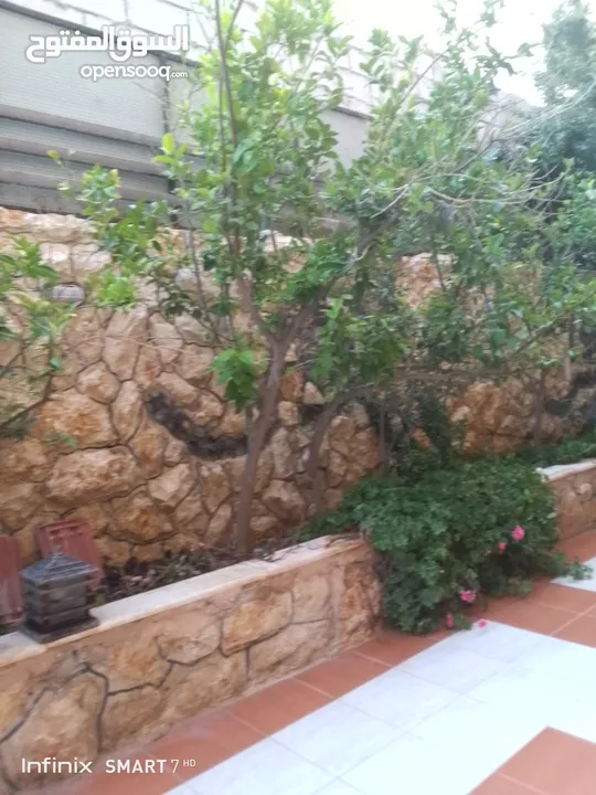 شبك حديقه منزليه