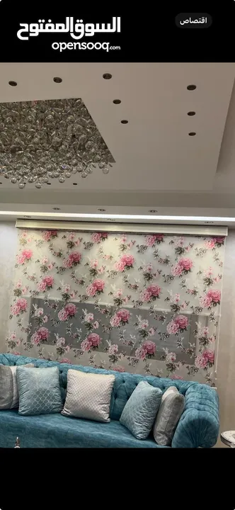 برداي زييرا