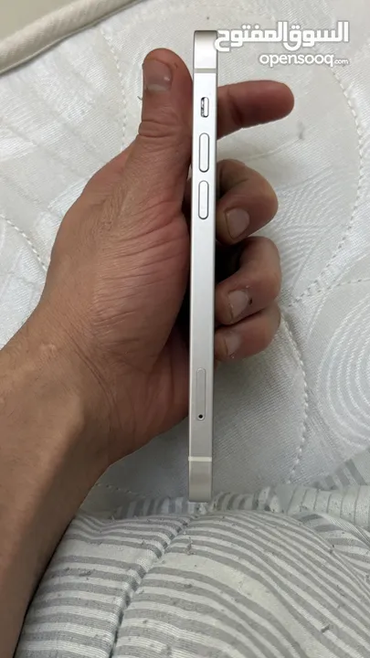 Regular iPhone 12