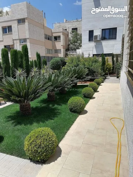 نجيل طبيعي للحدائق M5 - صنف وعرض مميز