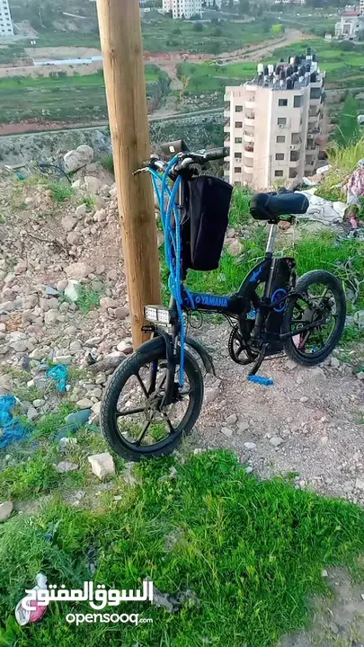 بسكليت كهربا رفيع الزرق مش الذهبي