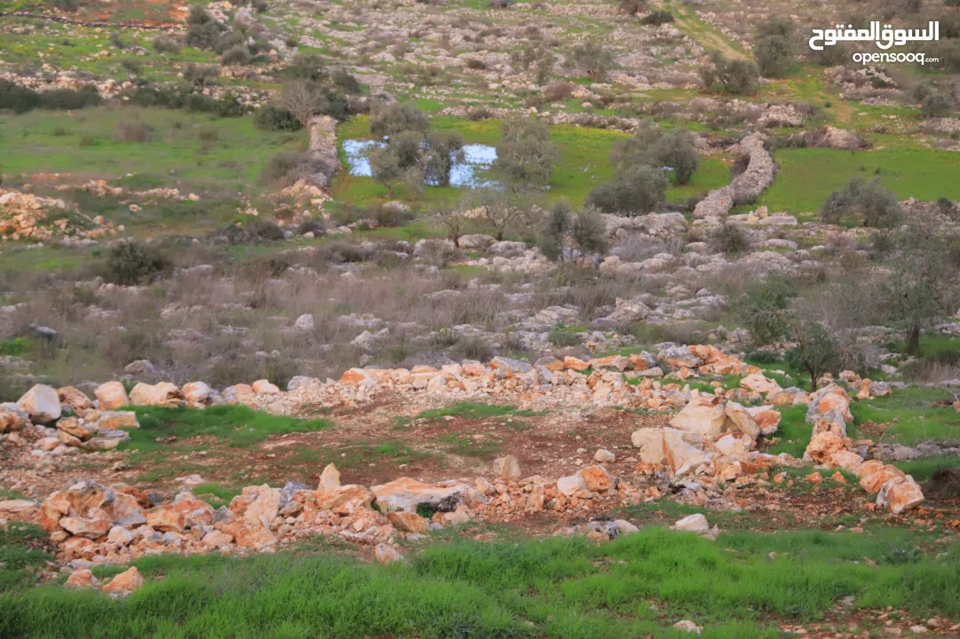 800متر طابوا فلسطيني في اجمل موقع بالكفريات واطلالة مميزةمنطقة( b)صالحة للبناء
