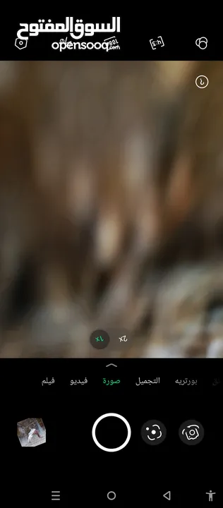 حمام للبيع