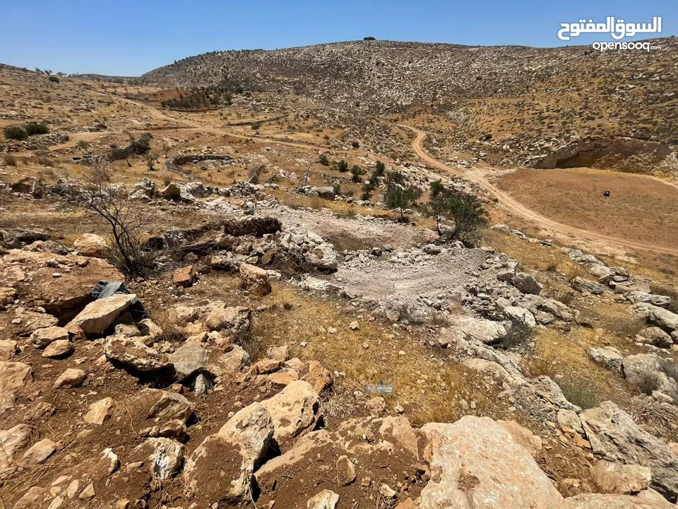 ارض بسعر مغري
