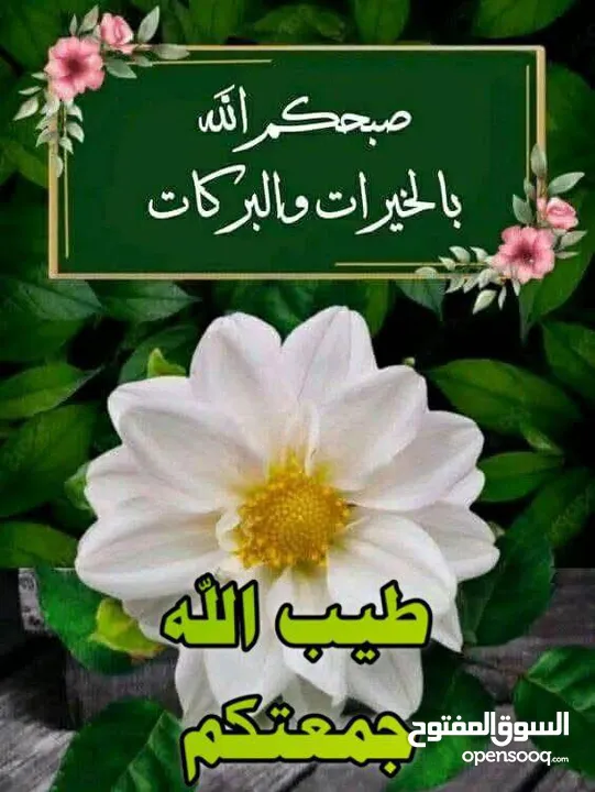 فرصة استثمارية ذهبية محطه غسيل سيارات وكل ما يلزم السيارات في مكان واحد للبيع