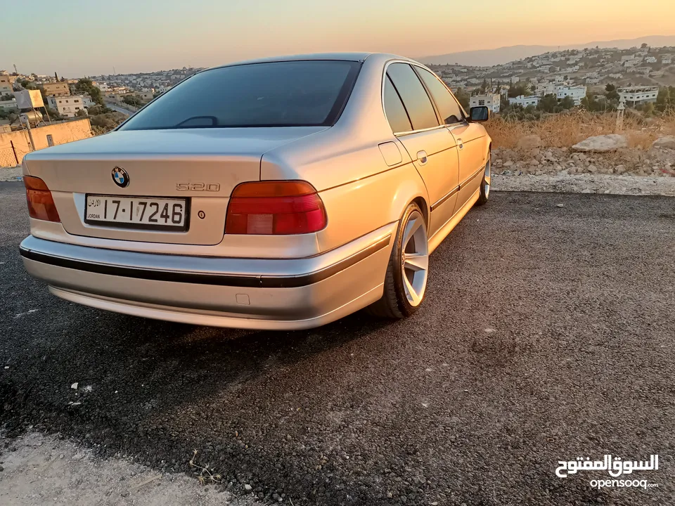 BMW E39الدب