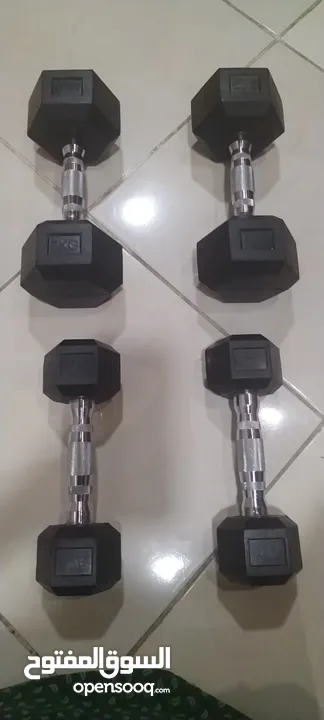 Dumbbells weights l brought them in 2024 November they are not scratched nor damaged
