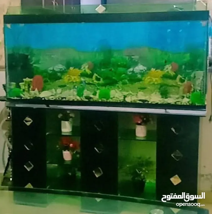 حوض سمك ارتفاع 60 عرض 136  للبيع 120دينار وقابل للتفاوض بشيء بسيط.