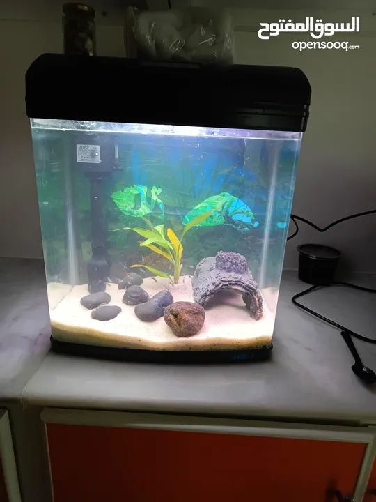 حوض سمك كامل مع توصيل و تركيب  Fish tank+Delivery and setup