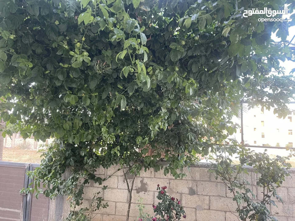 بيت مستقل للبيع ابوعلندا منطقة الرقيم