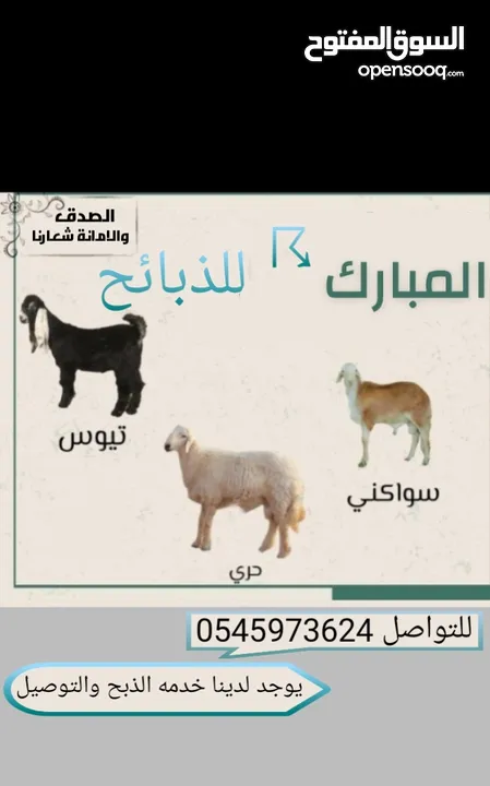 المبارك للذبائح