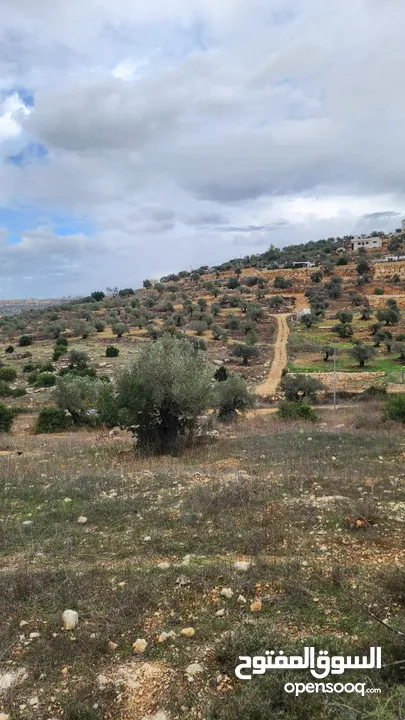 كوبر/ ارض مساحه 930 متر للبيع من المالك المباشر