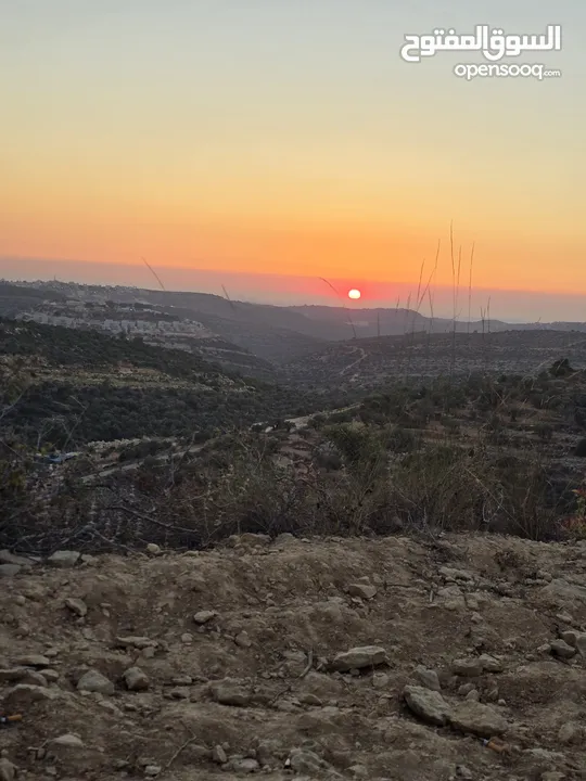 ارض مربعه الشكل اطلاله غربيه منطقه فلل ابو شخيدم  منطقه ظهر صبيح حوض2 واصلها جميع الخدمات للجادين