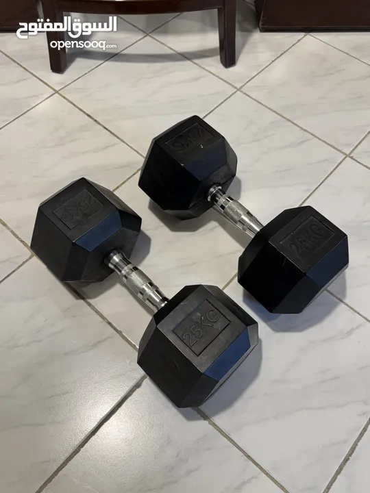 25 KG Dumbbell Pair, Hex, Steel Handles [Excellent Condition]