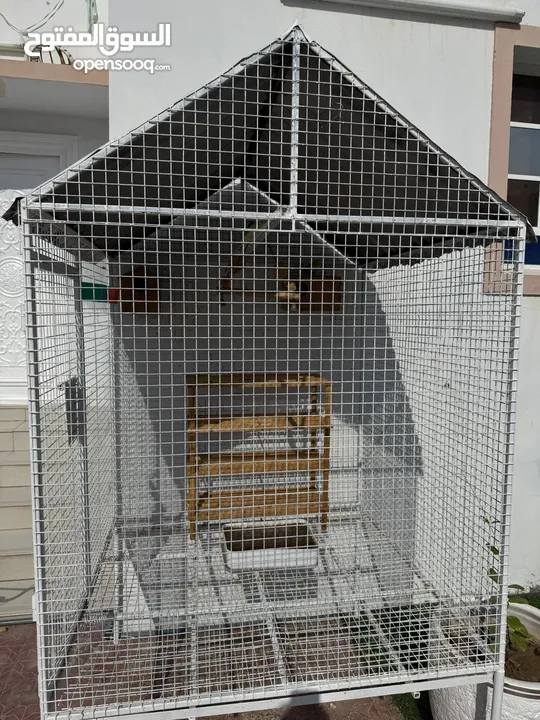 Big cage with 4 birds