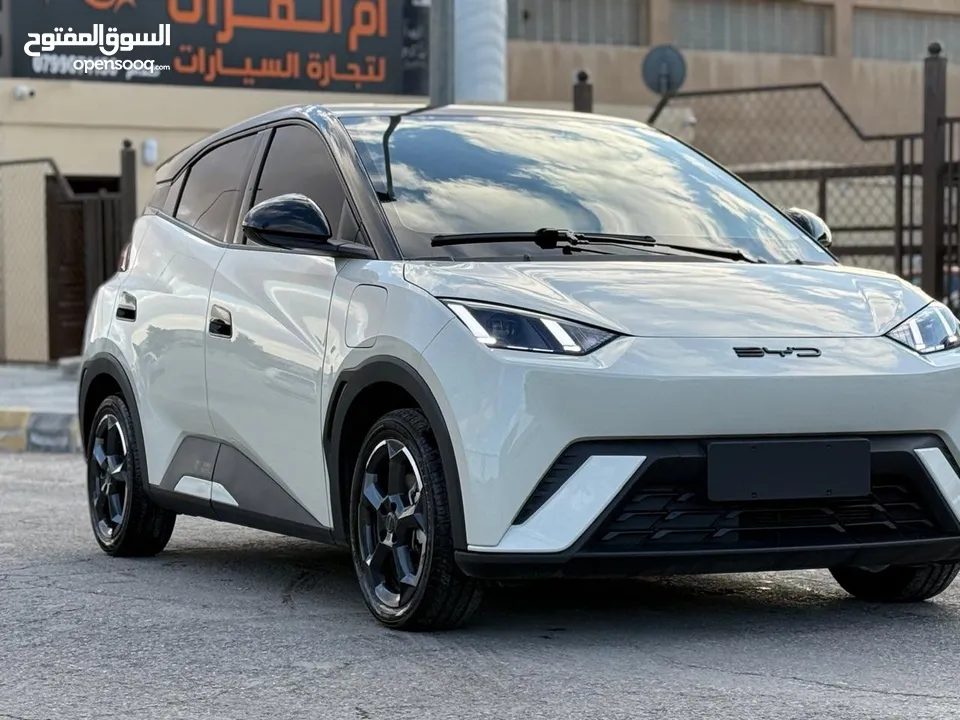 بس واي دي سيجول 305k 2023